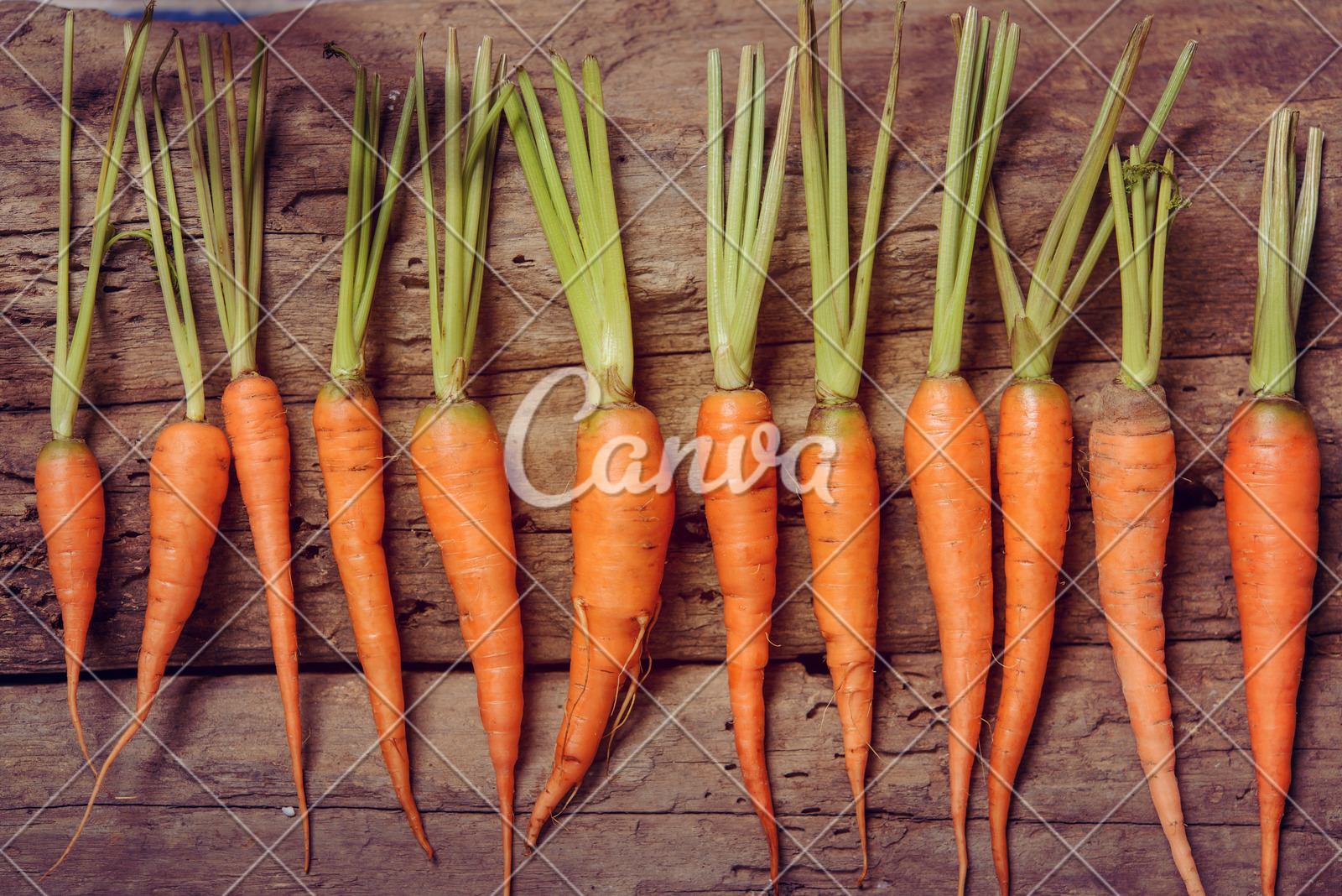 证监会对*ST高鸿(000851.SZ)进行严厉处罚