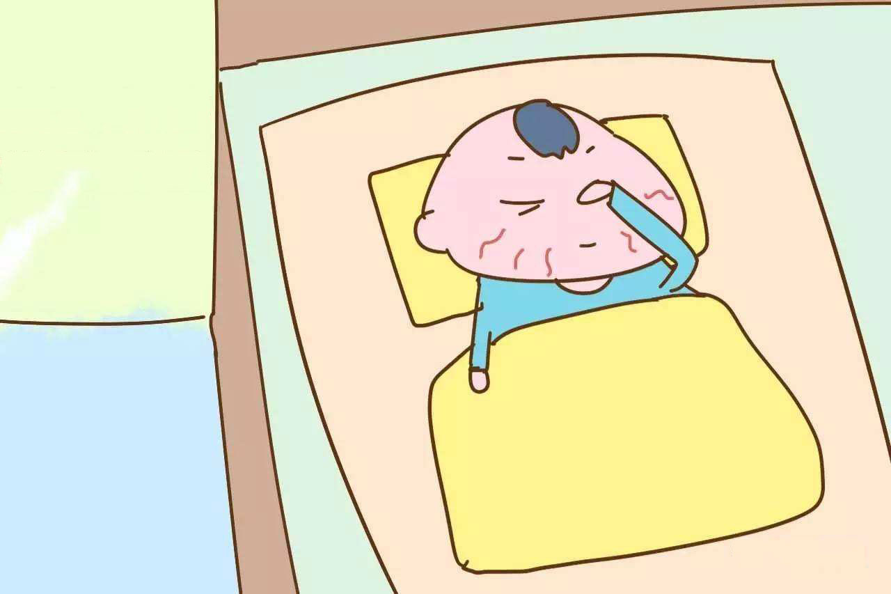 深耕创作沃土 讲好徐闻故事