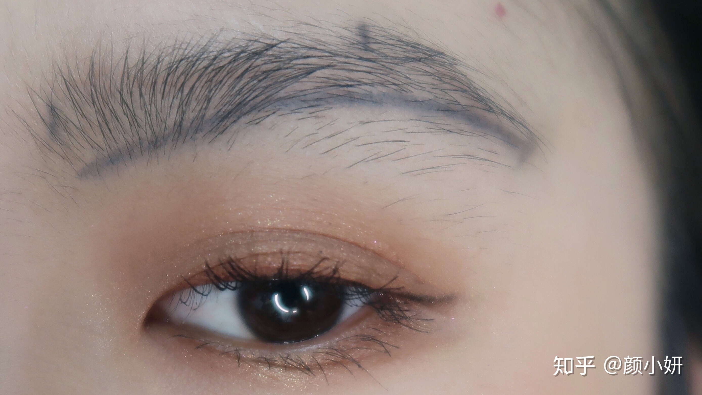 张家口市新的社会阶层人士联谊会成立